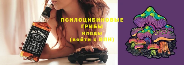 PSILOCYBIN Беломорск