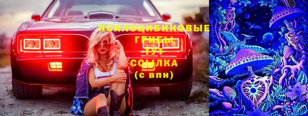 PSILOCYBIN Беломорск