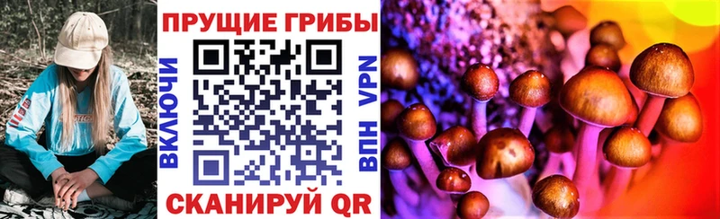 shop состав Маркс Псилоцибиновые грибы прущие грибы